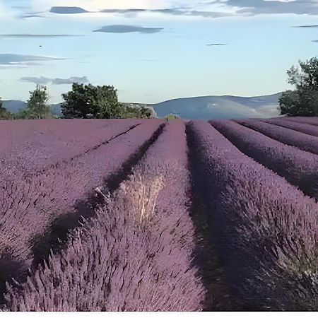 Bastide La Fondue Apartment Allemagne-en-Provence Luaran gambar