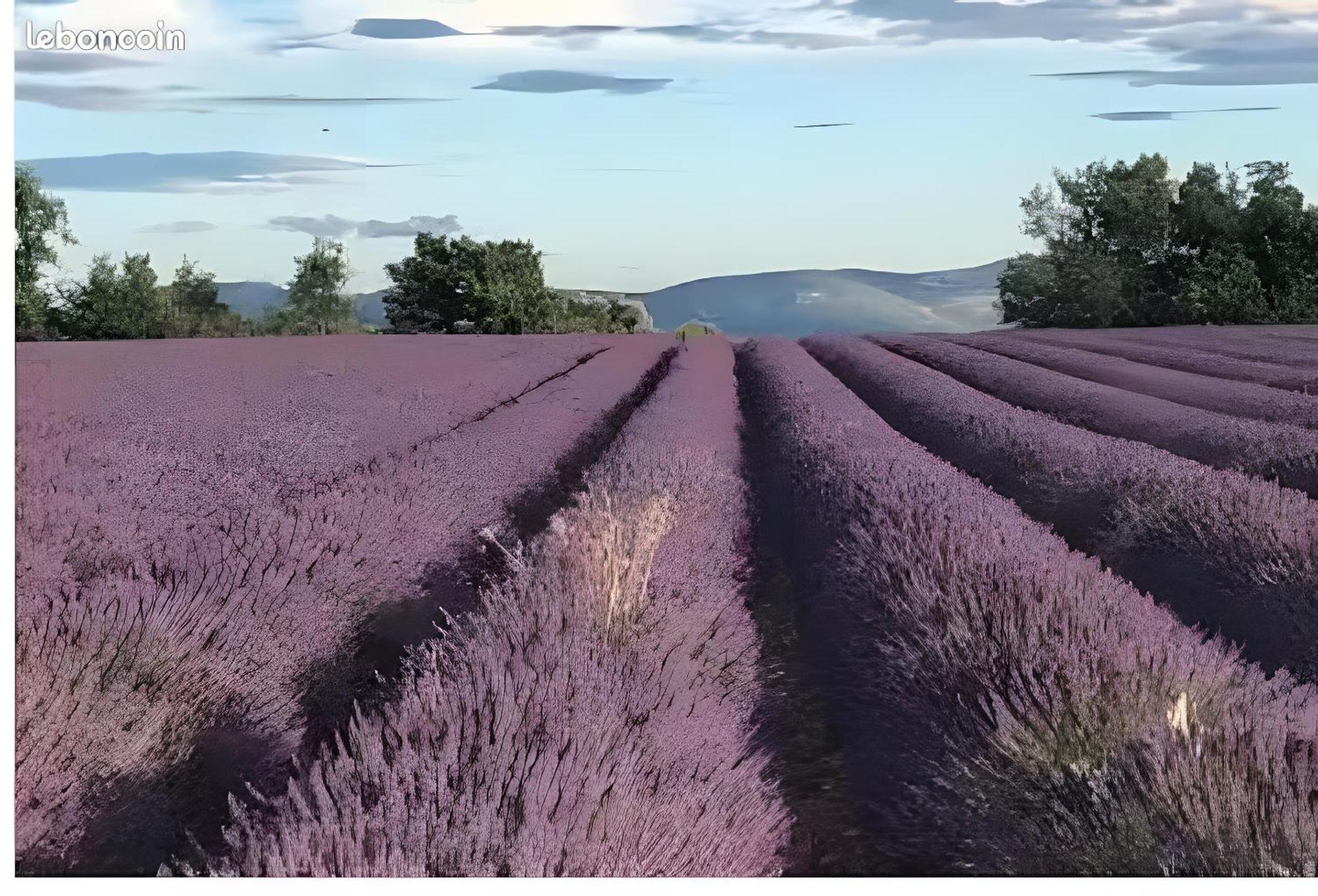 Bastide La Fondue Apartment Allemagne-en-Provence Luaran gambar